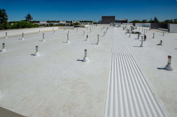 Best 4 Ply Roofing  in Cecil Bishop, PA